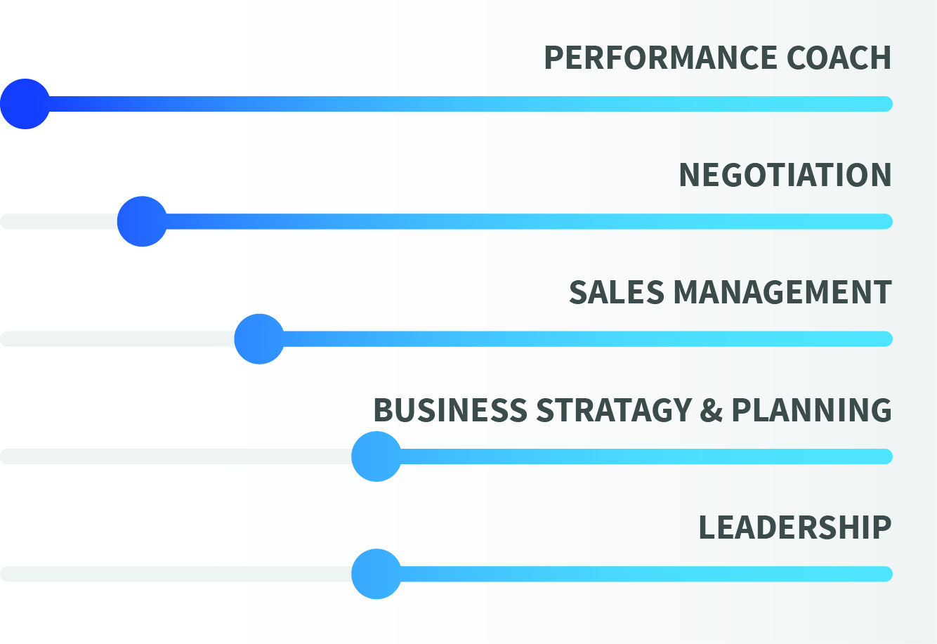 skills-grafico.jpg